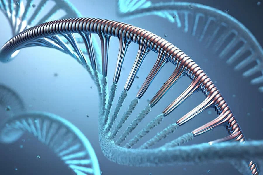 5 Dna Genetic Engineering