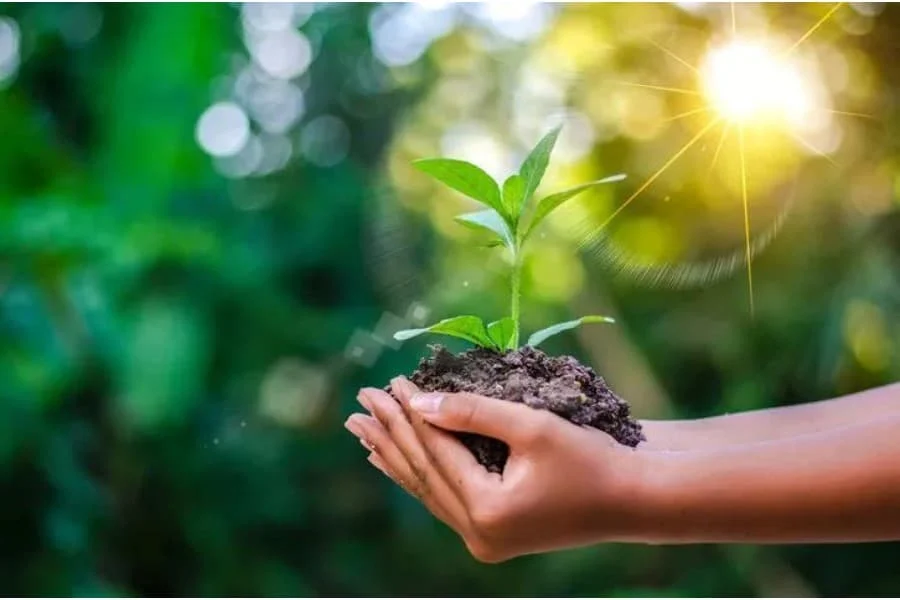 Environmentally Friendly